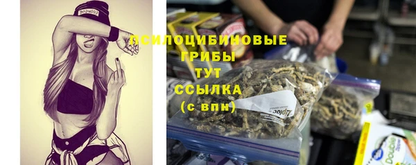 наркотики Алексин