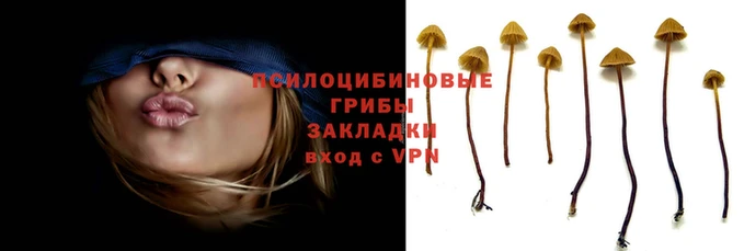 дурь Алексеевка