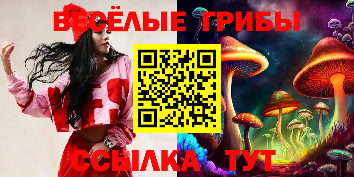 Псилоцибиновые грибы GOLDEN TEACHER Искитим
