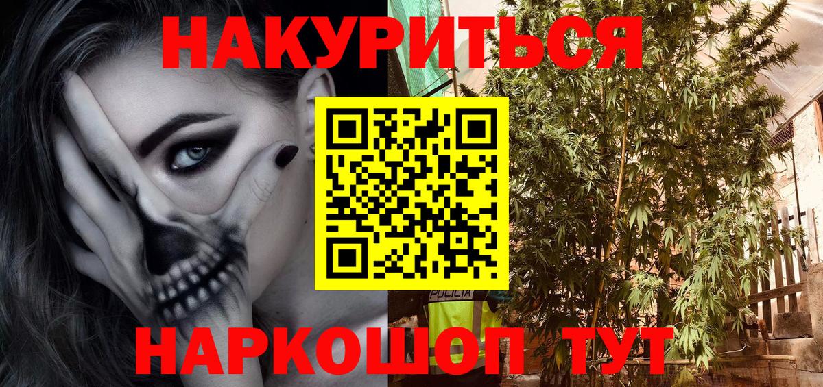 Канабис OG Kush Искитим